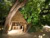 Luwi Bushcamp - Huts